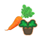 Medium carrot sprout