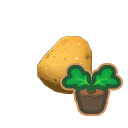 Medium potato sprout