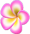 Pink plumeria hairpin