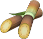 Sugarcane