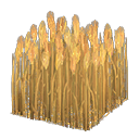 Wheat field|Gold