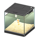 Firefly Squid