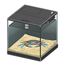 Gazami Crab