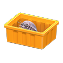 Giant Isopod