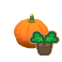 large pumpkin sprout