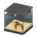 Lobster