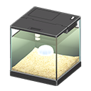 Moon Jellyfish