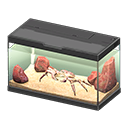 Red King Crab