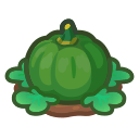 ripe green-pumpkin plant