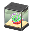 Sea Anemone