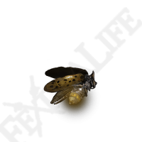 Gold Firefly *999