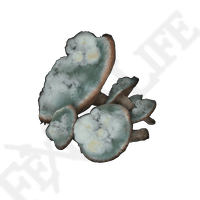 Toxic Mushroom *999