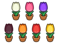 All Tulip Plant