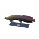 Arapaima Model