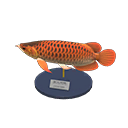 Arowana Model