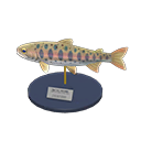 Cherry Salmon Model