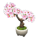 Cherry-blossom Bonsai