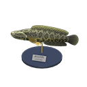 Giant Snakehead Model