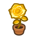 Gold-rose Plant