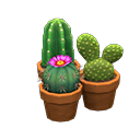 Mini-cactus Set