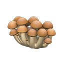 Mush Partition Ordinary mushroom