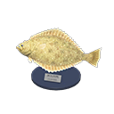 Olive Flounder Model