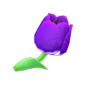 Purple Tulips