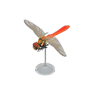 Red Dragonfly Model