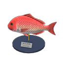 Red Snapper Model