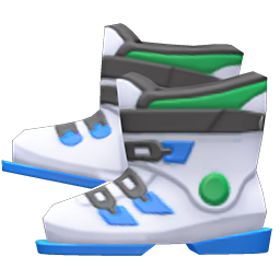 Ski Boots White