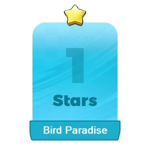 Bird Paradise