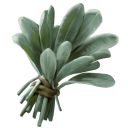 Artemisia Herb