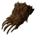 Bear Paw