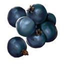 Blueberries