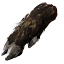 Boar Hoof