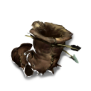 Boarskin Leather Gloves