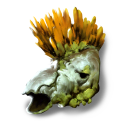 Molding Nith Skullcap