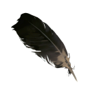 Mottled Feather