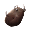 Potato