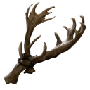 Stag Antlers