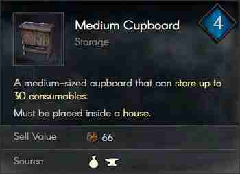 Medium Cupboard