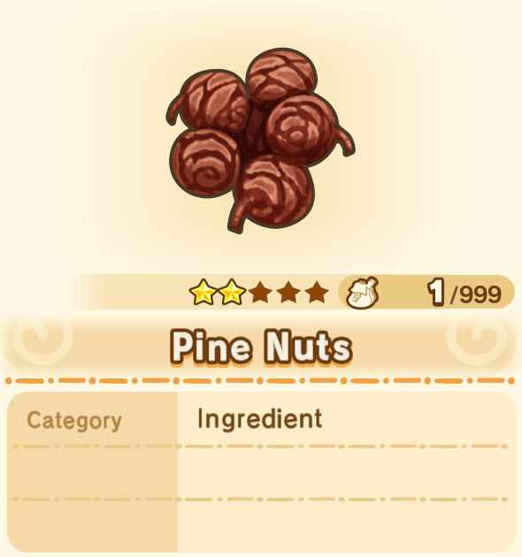 Pine Nuts x99