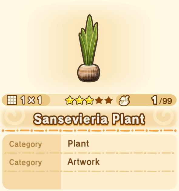Sansevieria Plant
