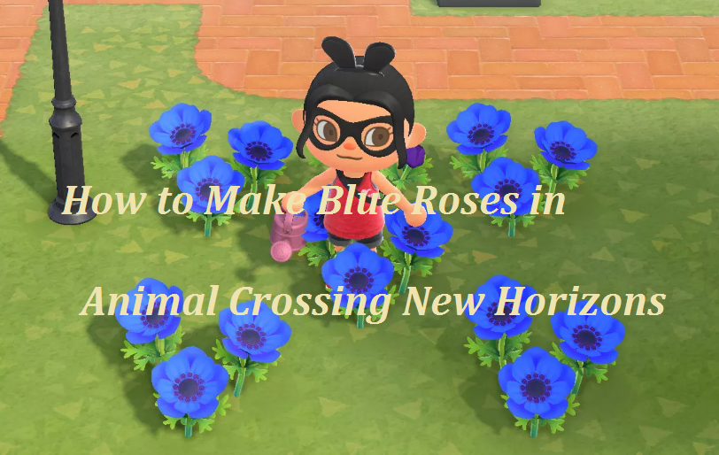 make blue roses in animal crossing