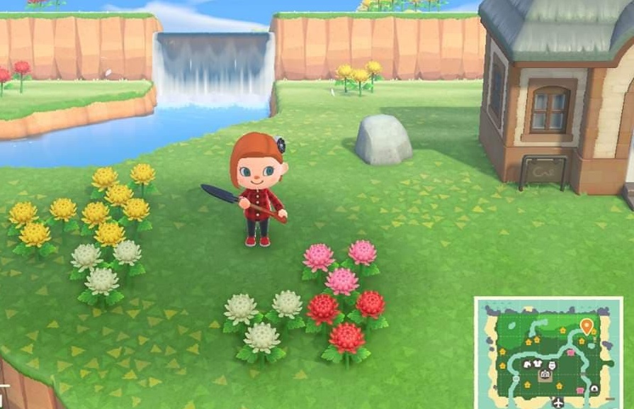 Animal Crossing New Horizons - Hybrid Flower Side by Side