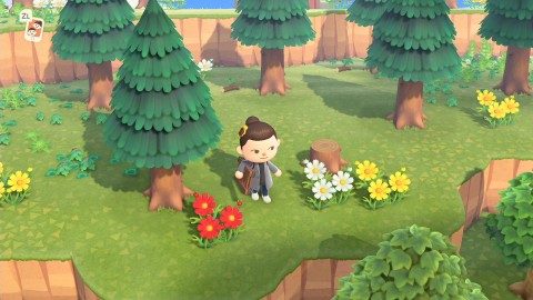 Animal Crossing New Horizons Basic Flowers