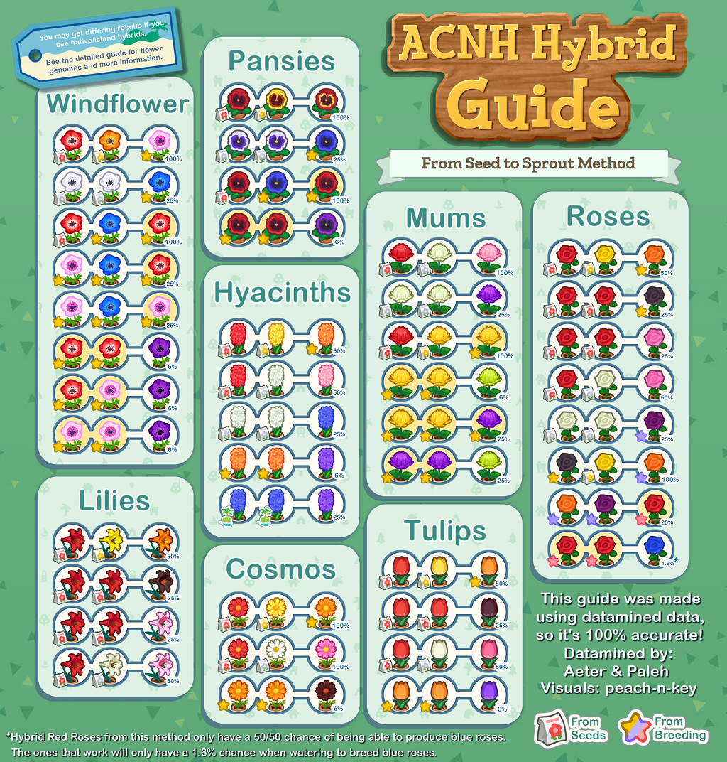 Animal Crossing New Horizons Hybrid Flower Guide - From Seed To Sprout Method