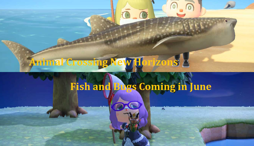 Animal Crossing New Horizons June Fish and Bugs New ACNH Fish
