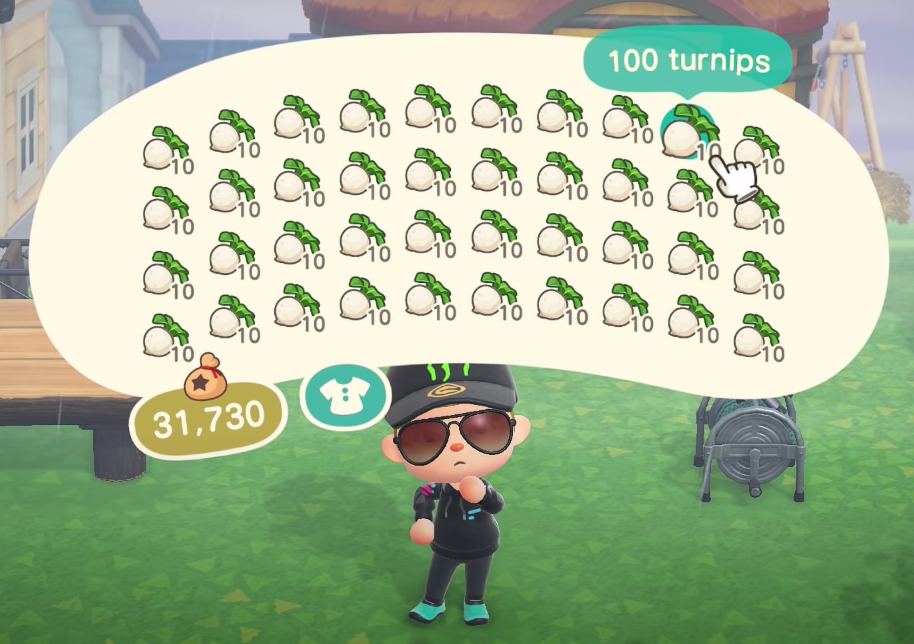 Animal Crossing New Horizons Stalk Market and Turnips Guide