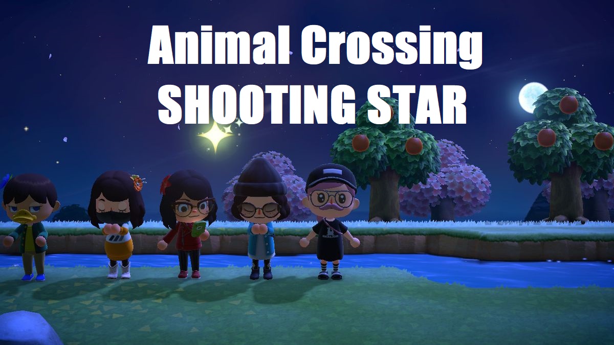 Animal Crossing New Horizons Shooting Star Guide